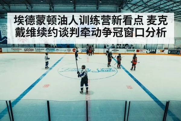 ice hockey arena game